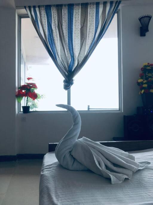 Adisham Village Home Beragala المظهر الخارجي الصورة